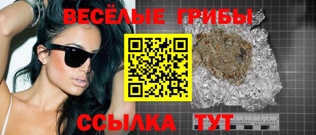 Псилоцибиновые грибы прущие грибы  Вход с VPN  Саров 